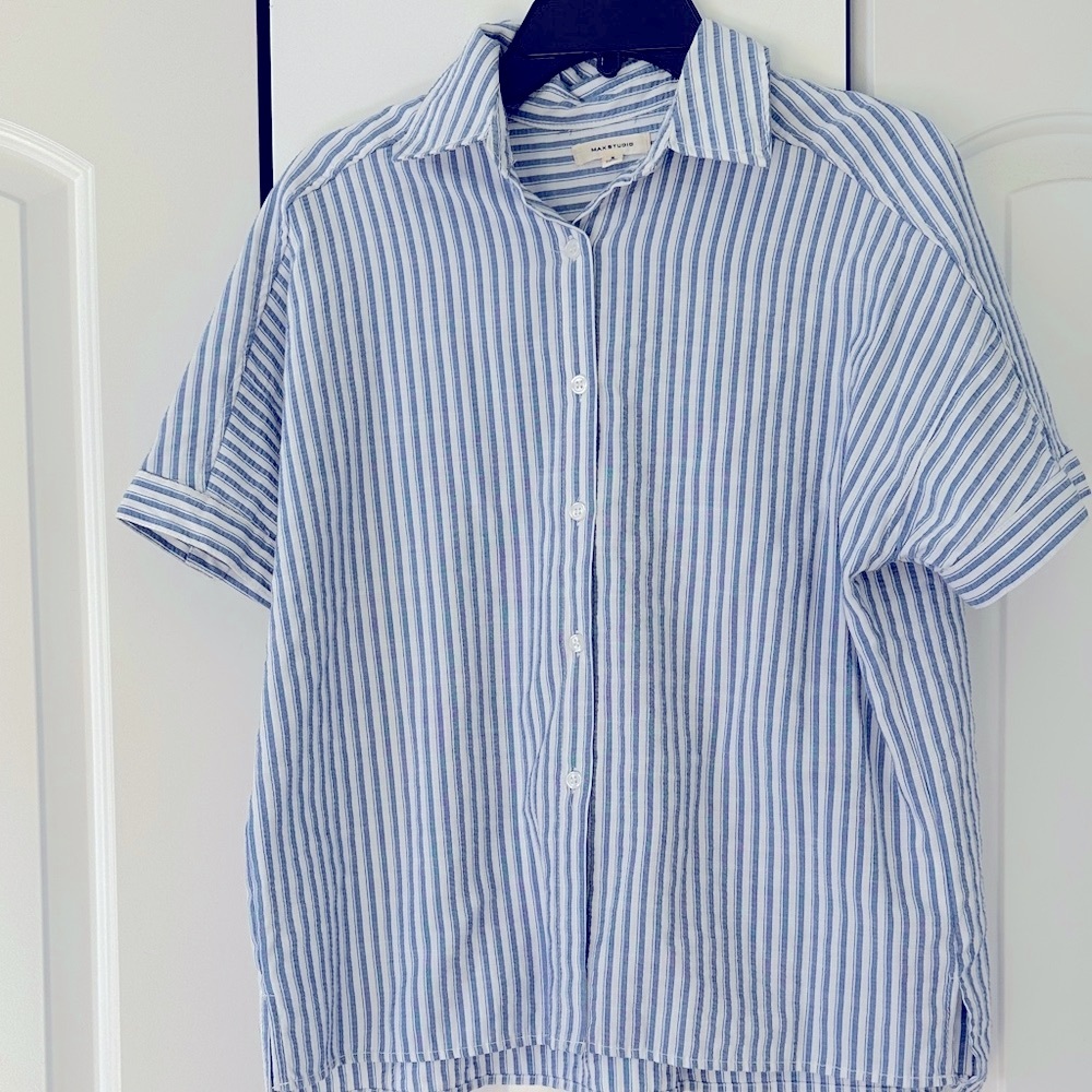 Max Studio Blue and White Striped Button-Down Shirt
